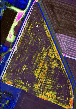 Outil sur mesure WANAKA : détection de dégâts de gel et dégâts des eaux sur blé grâce à la télédétection