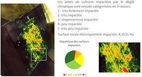 Outils sur mesure WANAKA : quantification des dégâts par analyse statistique des dégâts de grêle