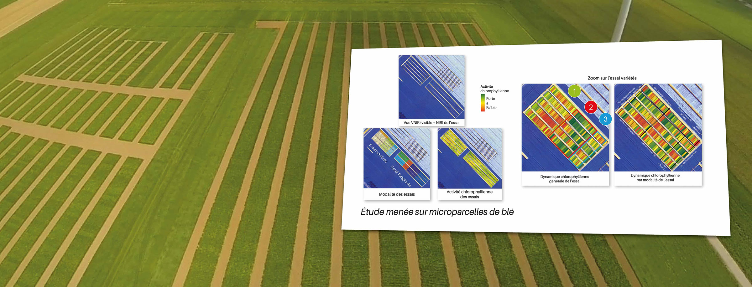 Micro-parcelles, numérisation, indices de végétation, mesures terrain, modalité d'essai, wanaka, calculs