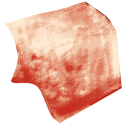 zonage détaillé WANAKA, zonage détaillé carte de sol