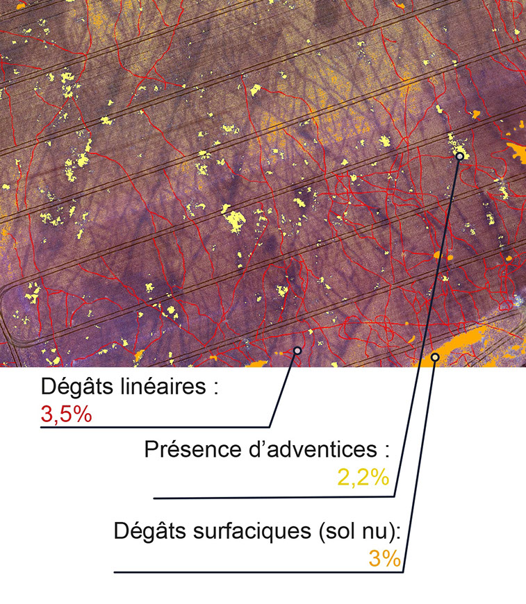 Visualiser et détecter précisément les dommages au sein des cultures (dégâts climatiques, de grand gibier, de verse, de maladie…)