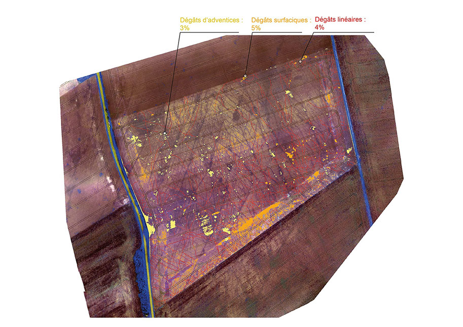 Carte WANAKA de diagnostic des dégâts. Vue aérienne prise par drone : degats d'adventices, degats surfaciques et dégats linéaires